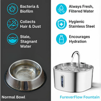 FureverFlow™: The Official Stainless Steel Pet Water Fountain