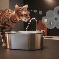FureverFlow™: The Official Stainless Steel Pet Water Fountain